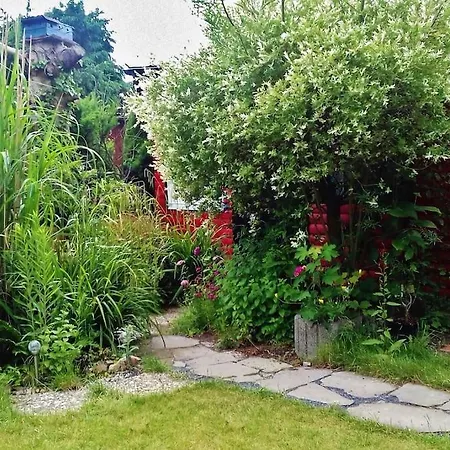 Hébergement de vacances Tiny Waldheim *