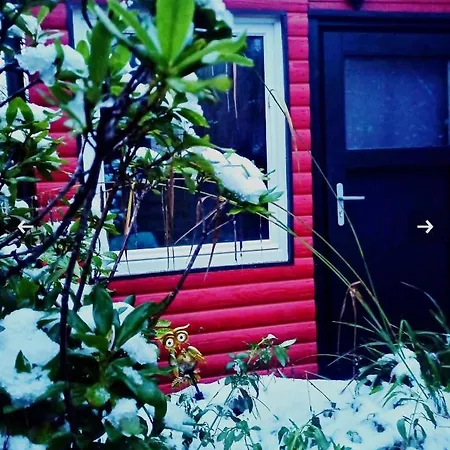 Tiny Waldheim Holiday home *